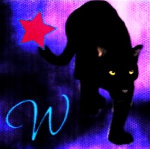 Meet your Posher, Wondercat